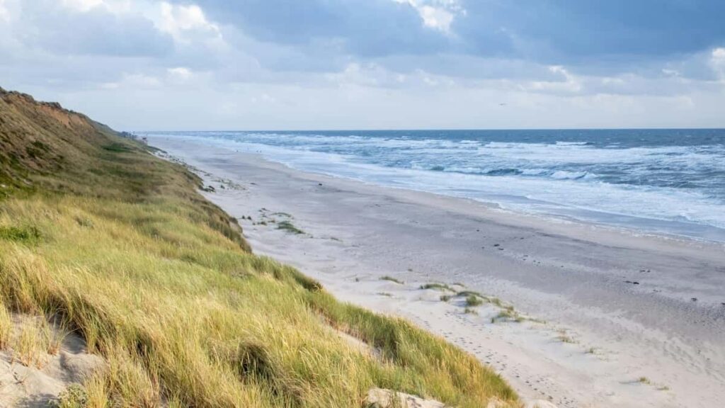 2025 United States Pinterest Annonceringspriser og Målretning for Danmark