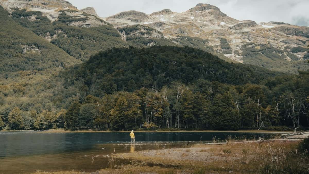 2025 Sydkorea TikTok Annonceringsprisoversigt for Danmark