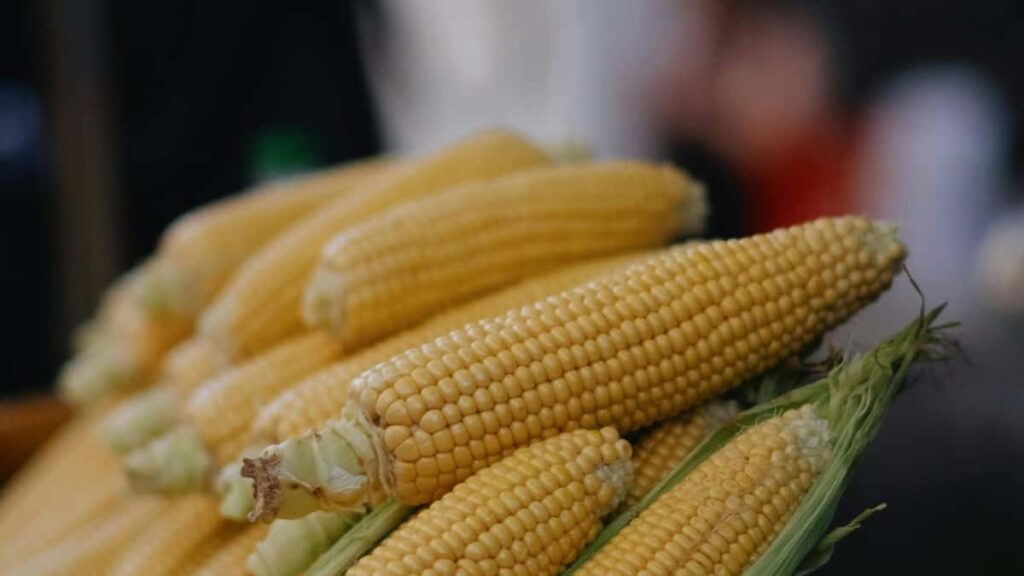 Praktisk guide for danske kreatrer: hvordan du finder, pitcher og samarbejder med belgiske brands via Taobao og live-handel for at skabe launch-hype.