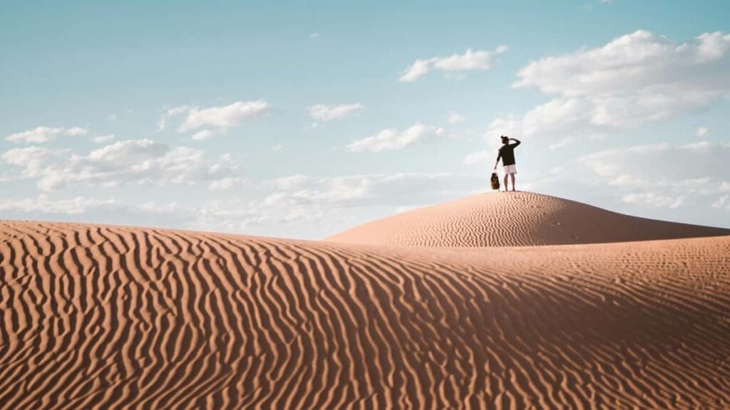 Lr hvordan danske content creators kan connecte med New Zealandske brands pa Bilibili for at styrke deres mediekit.