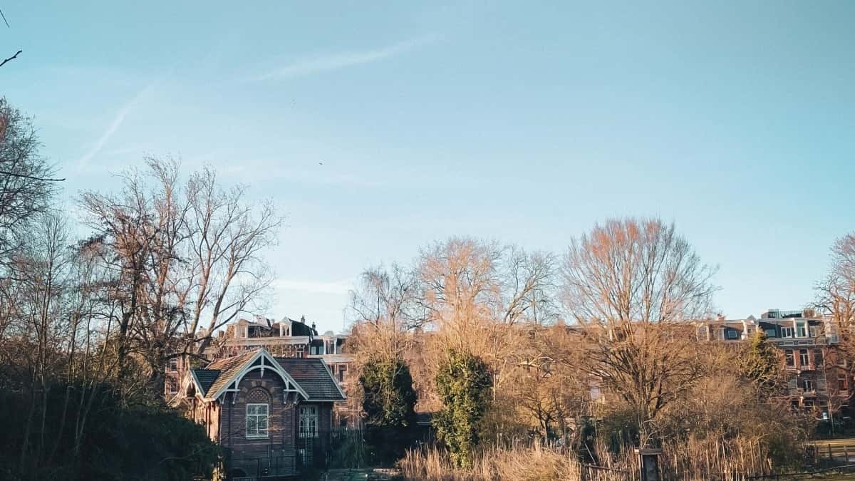 Annoncefolk: Find libanesiske TikTok-creators og boost salg