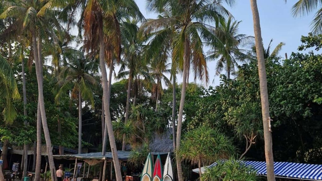 Praktisk guide for danske annoncrer: hvordan du finder, verificerer og samarbejder med serbiske WhatsApp-creators til produktseeding til beauty-bloggere inkl. sikkerhedstjek og workflow.