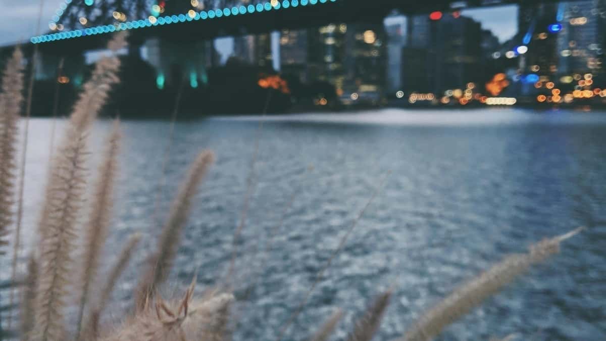 Danske creators: Nå etiopiske brands på Takatak