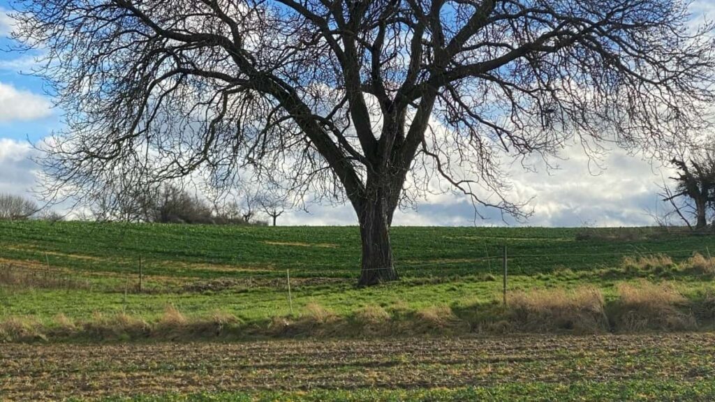 Handy guide for danske travel-vloggere: Hvordan kontakte norske brands via WeChat og lande sponsorer til branded rejsevlogs.