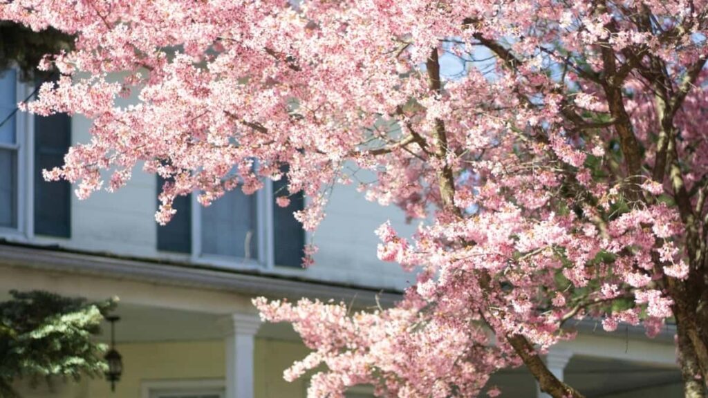 Praktisk guide for danske creators: trin-for-trin outreach til peruanske brands pa YouTube byg trovrdighed i dit mediakit og g chancerne for samarbejde.