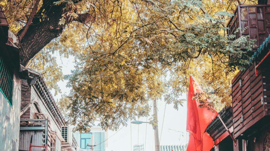 Praktisk guide til danske creators: hvordan du finder, pitch'er og samarbejder med Costa Rica-mrker via Lazada og lignende kanaler for at kre effektive giveaways og engagere nye publikum.