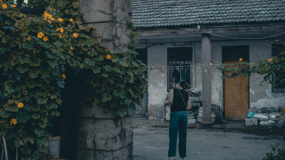 Danske annoncører: Find Azerbaijan Josh‑creators hurtigt