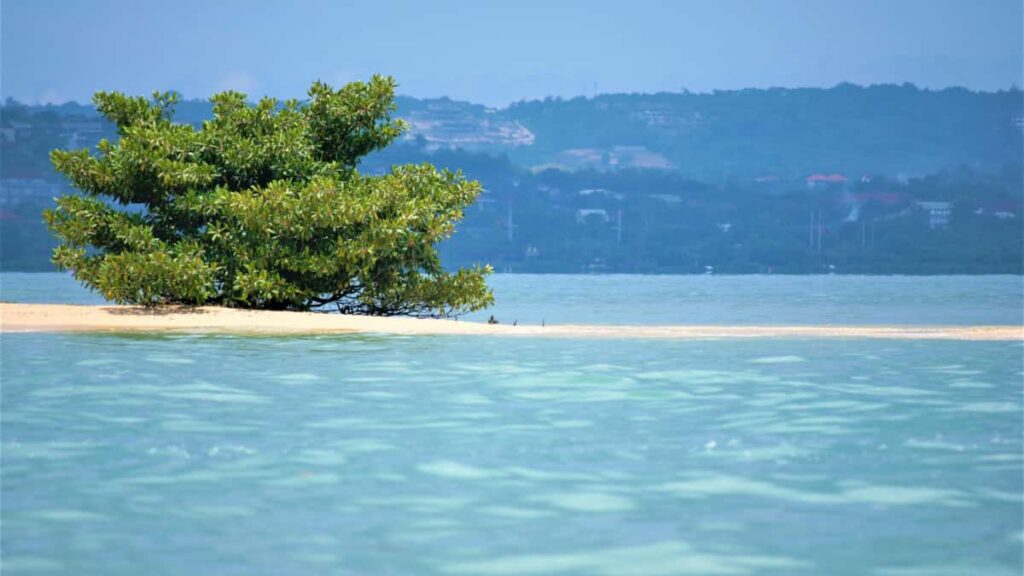 Praktisk guide til annoncrer i Danmark: hvordan du finder, vurderer og samarbejder med danske OnlyFanscreators for at teste nye produktkoncepter sikkert, effektivt og etisk.