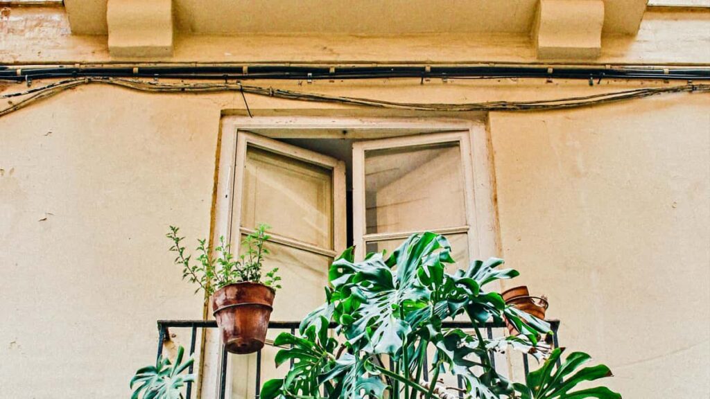 Praktisk guide til danske creators: hvordan du pitcher strigske brands via HBO Max-kampagner og far dem til at dele lokale gems taktikker, eksempler og scripts.