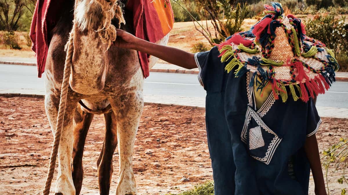 Creators: Reach Islandske brands på OnlyFans og boost kurs-tilmeldinger