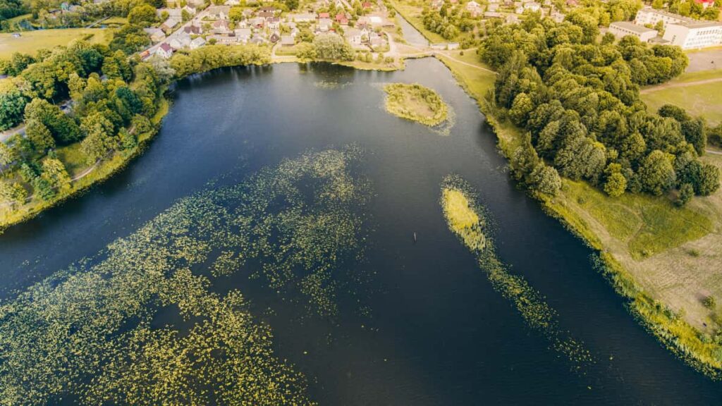 Praktisk guide til danske creators: hvordan du finder, kontakter og laver crosspromos med iranske brands pa Etsy taktikker, vrktjer og risikohandtering.