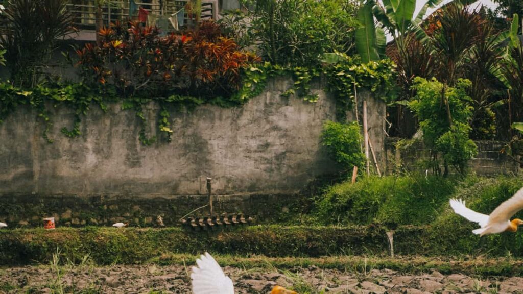 En praktisk guide til danske creators: hvordan du finder, pitch'er og lukker betalte samarbejder med italienske Etsy-slgere taktikker, eksempler og en checkliste.