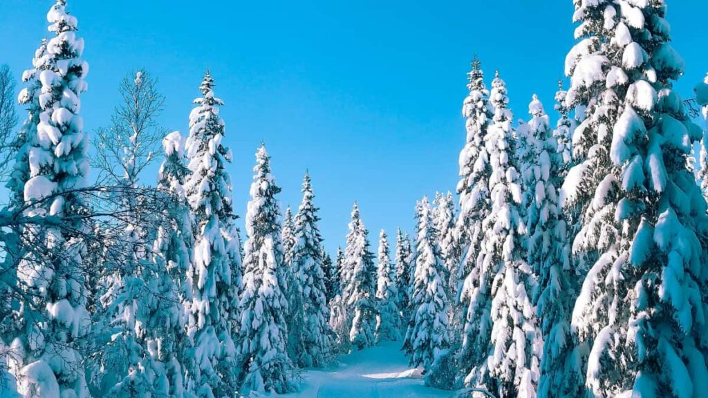 Praktisk guide til danske musikcreators: hvordan du nar beslutningstagere i britiske brands pa Facebook for at fa din sang brugt i challenges og kampagner.