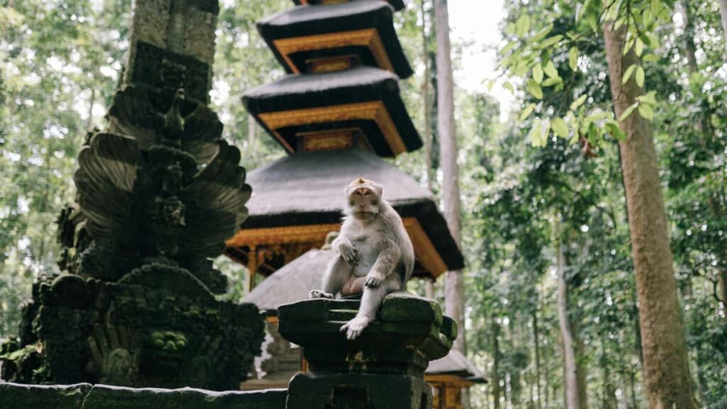 Praktisk guide til danske annoncrer: hvordan du finder Disney Plusskabere i Bangladesh og bruger UGC til at puste liv i rejseudstyrskampagner.