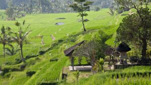 Praktisk guide for danske annoncrer: hvordan du finder og aktiverer koreanske Viber-creators til creator-led fitness-challenges taktikker, lokale partners og risikoer.