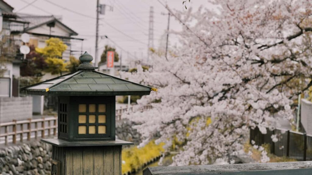 Praktisk guide til danske annoncrer: hvordan du identificerer, vurderer og samarbejder med Croatia Josh-creators for at ge social engagement og kb. Hands-on vrktjer, API-tip og kampagnestrategier.