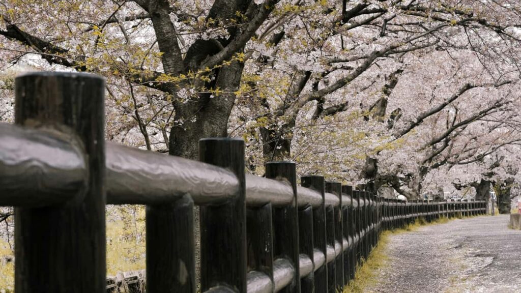 Praktisk guide til danske annoncrer: hvordan finde Iran-relaterede Netflix-skabere, samarbejde smart og ge social engagement med lokal indsigt og risikostyring.