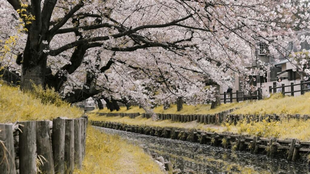 Praktisk guide til danske annoncrer: hvordan du finder Malta-baserede Amazon-creators, malretter mobile appinstalls og undgar faldgruber i 2025.