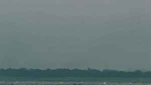 Praktisk guide til danske annoncrer: hvordan du finder Uruguay-baserede Zalo-creators for at ge kendskab i gamingfllesskaber.