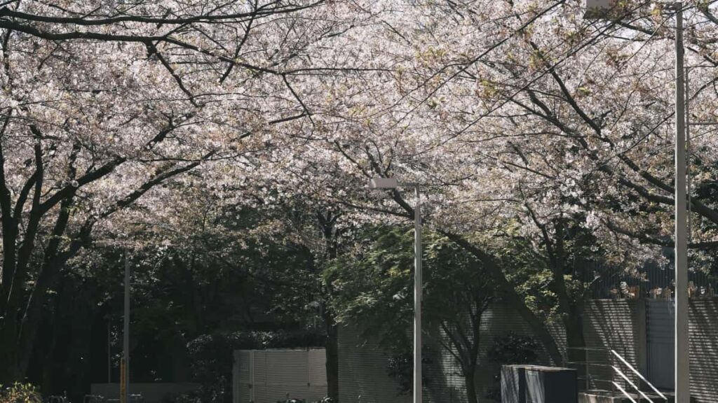 Praktisk guide til danske microcreators: hvordan du finder, kontakter og pitch'er venezuelanske slgere pa eBay for at fa seedingprver og sma creatoraftaler.