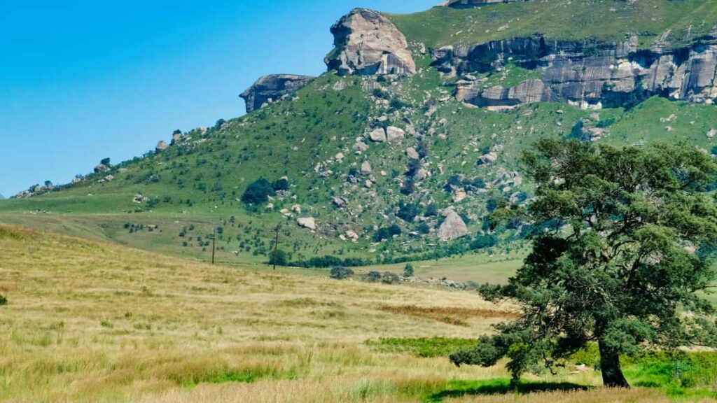 Praktisk guide til hvordan danske annoncrer finder og tester med sydkoreanske Takatak-creators taktikker, lokale indsigter og konkrete steps til produktkoncept-test.