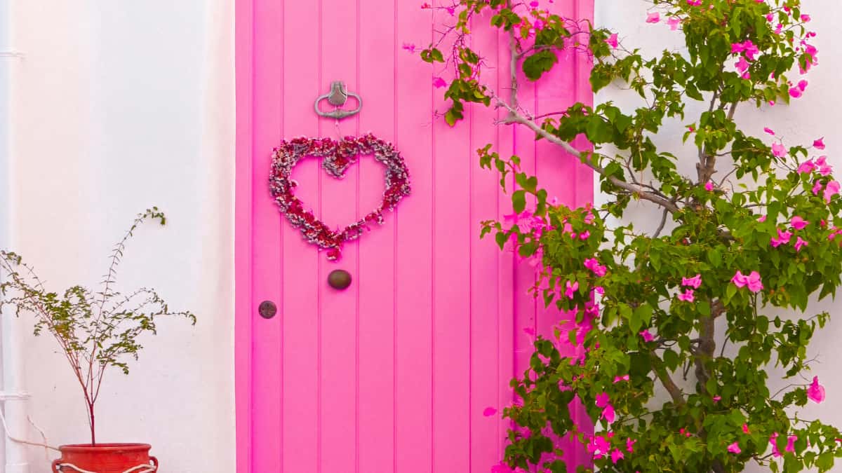 Annoncefolk: Find tyrkiske TikTok-creators til beauty-opspark