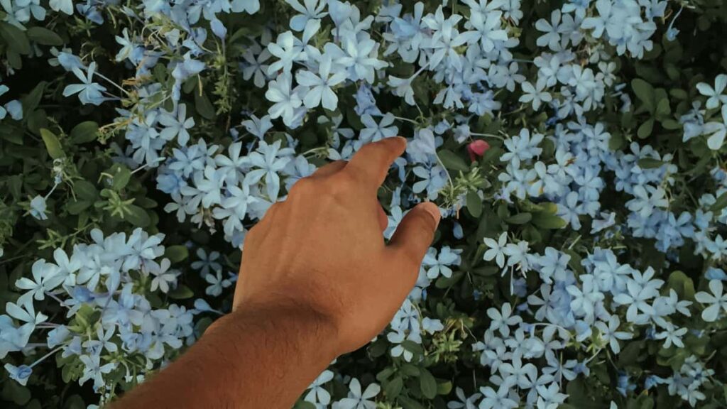 Praktisk guide til danske modesttere: hvordan du finder og samarbejder med Kasakhstanske Mojcreators til nye kollektioner fra research til kontrakt og activation.