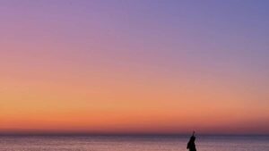 Praktisk guide til kreative i Danmark: hvordan du finder og pitch'er bolivianske brands pa Reddit for cocreated produktpakker taktikker, risici og konkrete next steps.