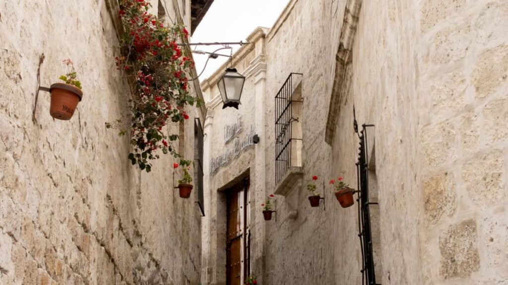 Praktisk guide til danske creators: hvordan du finder, pitcher og samarbejder med Sri Lanka-brands pa Takatak for at dele sunde vaner med flgere.