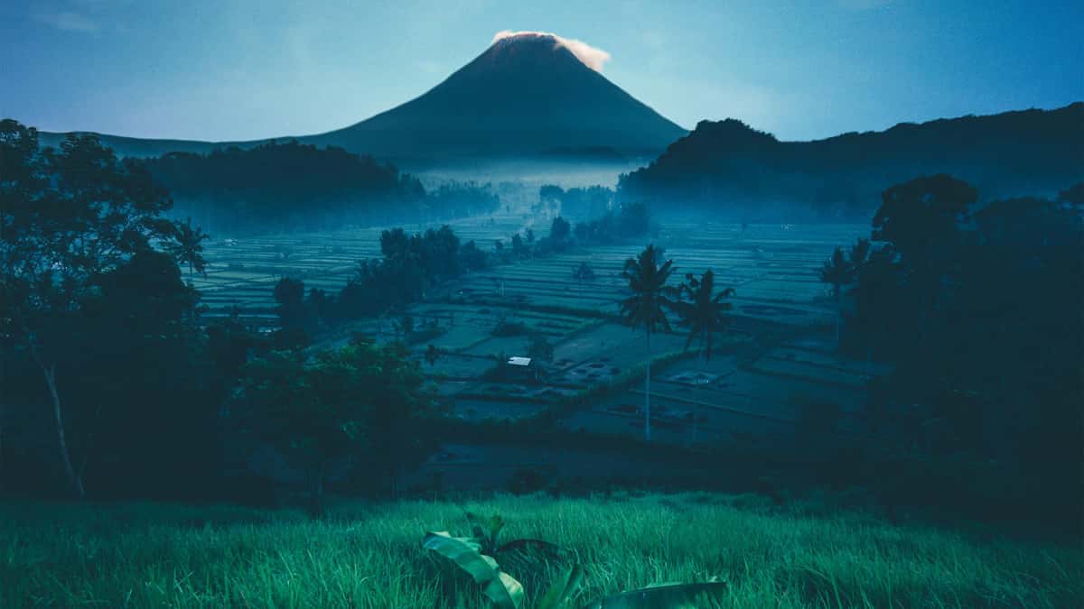 Skab kontakt til australske brands på Threads og få artister frem i lyset