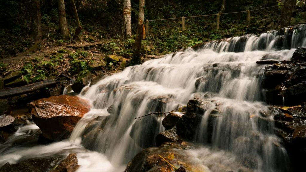 Praktisk guide til danske content creators: hvordan du nar nepalesiske brands pa Shopee, skaber trovrdighed og lander samarbejder med topbrands i 2026.