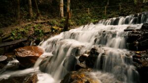 Praktisk guide til danske content creators: hvordan du nar nepalesiske brands pa Shopee, skaber trovrdighed og lander samarbejder med topbrands i 2026.